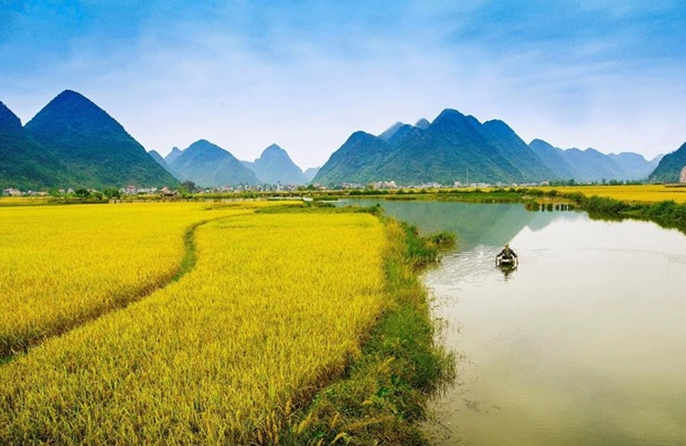 Cày cấy mảnh ruộng tâm hồn