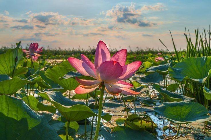 Đừng chờ mất đi mới ...