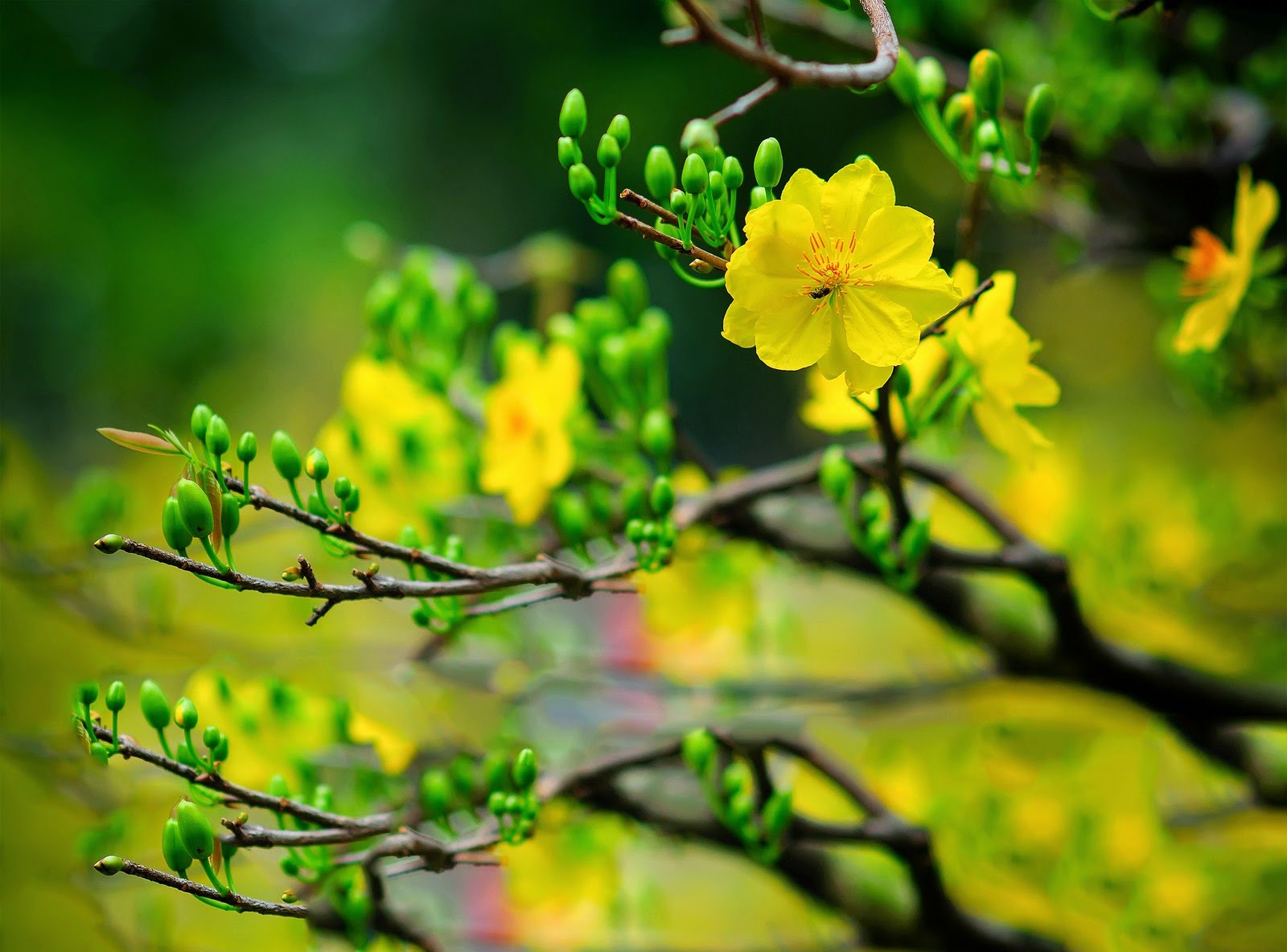 Cuộc đời có rất nhiều thứ buông bỏ 