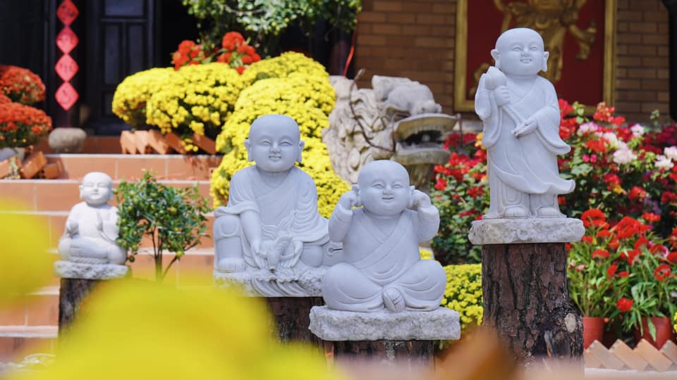 Ngày xuân chúc nhau sống thọ
