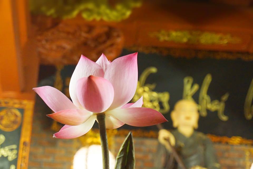 Phước, đức, lộc đến từ đâu?