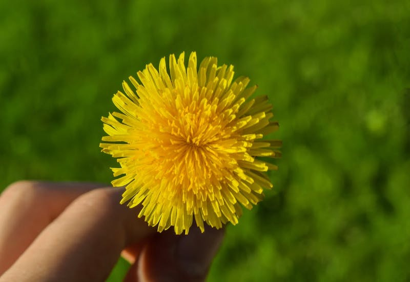 Chuyện gì đến ta đón nhận