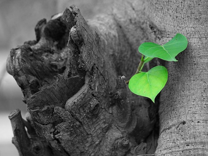 Cái gì gọi là bảo hiểm an toàn nhất?