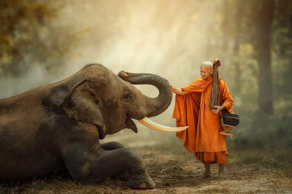 Hãy sống với tâm từ để hóa giải xung đột và thù hận