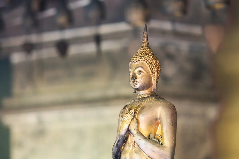 “Đem muối bỏ biển” vậy mà hay