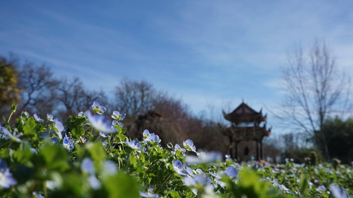 Sáu cõi luân hồi