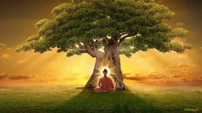 Tại sao chúng sanh khó độ vẫn phải độ?