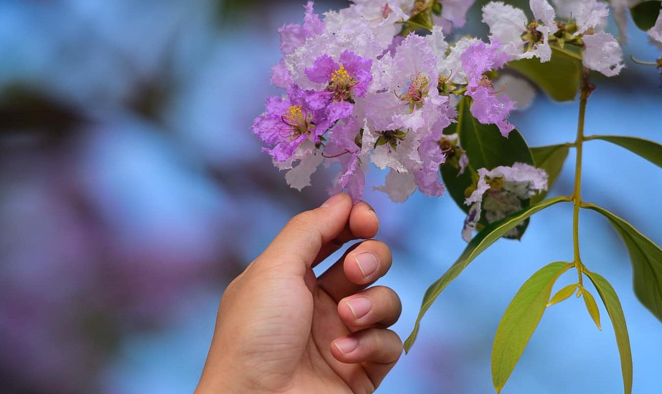 Giúp người là giúp mình
