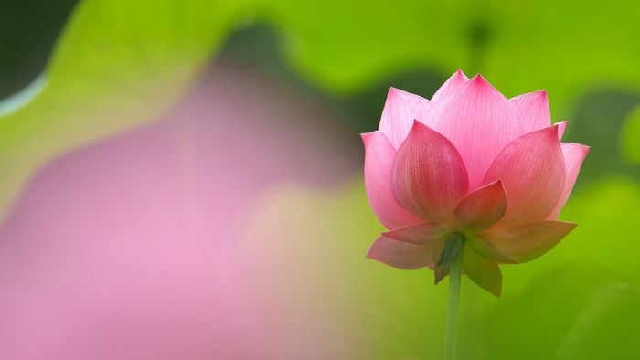 Giữa người với người, lỗi lầm lớn nhất là truyền bá thị phi
