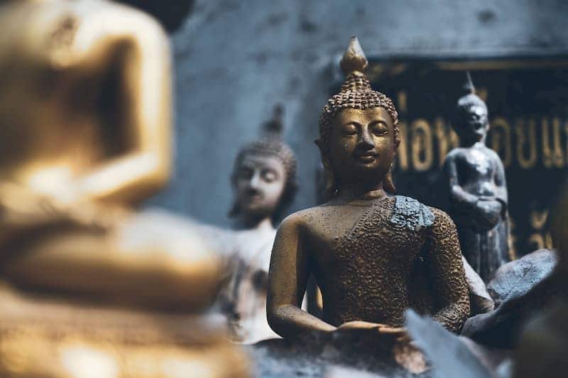 Có thiện nghiệp, có may mắn