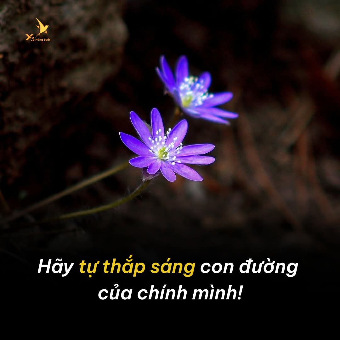 Tốt nhất không bằng phù hợp