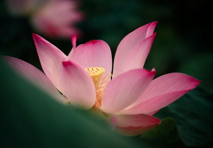 Cuộc đời có nhân quả, nên chẳng cần vội vã