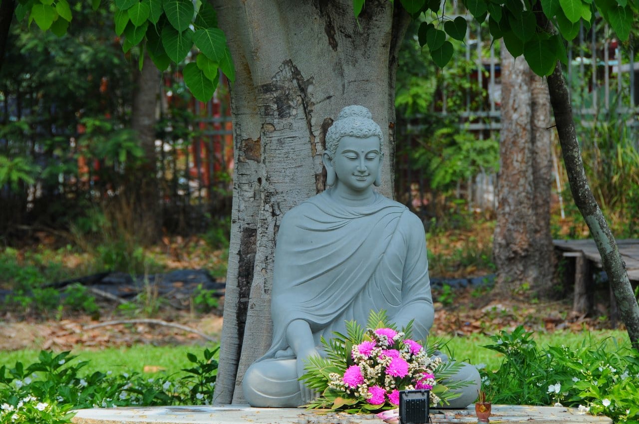 KÍNH MỪNG PHẬT ĐẢN