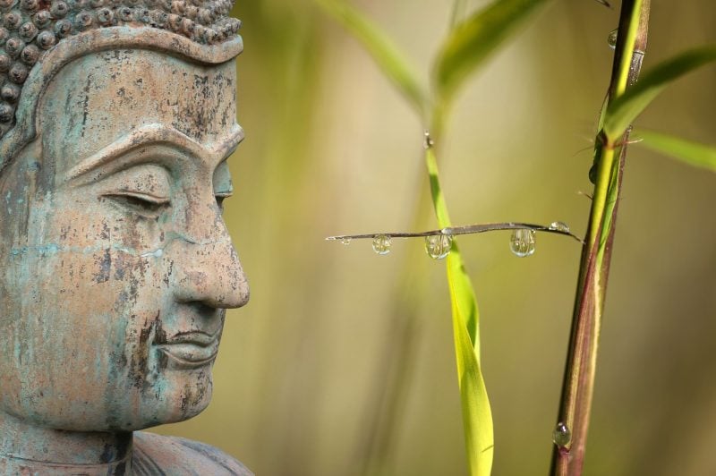 Đã biết vô thường