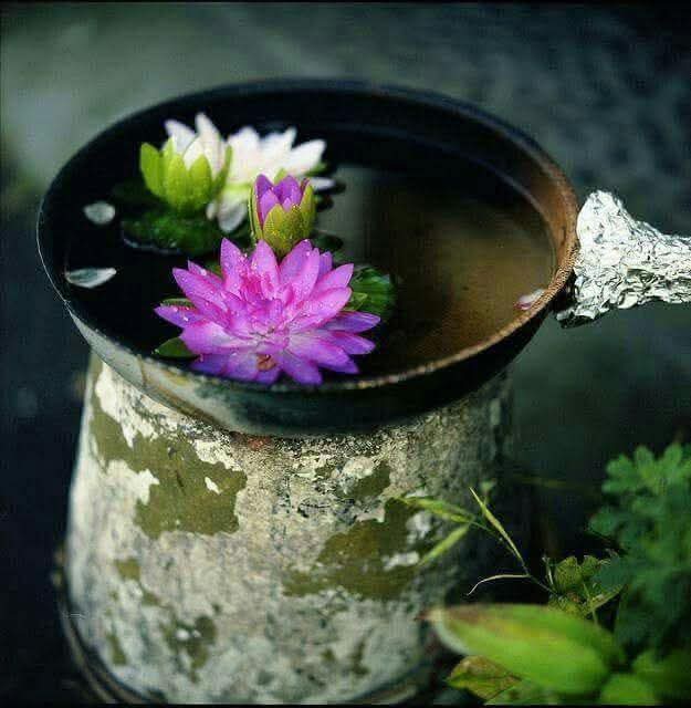 Chịu thiệt thòi một chút