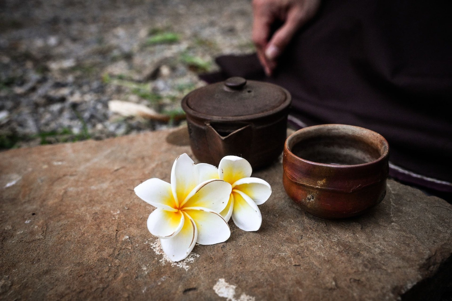 Bồ tát Văn Thù Sư Lợi hỏi Phật: Sao kêu là tứ đại?