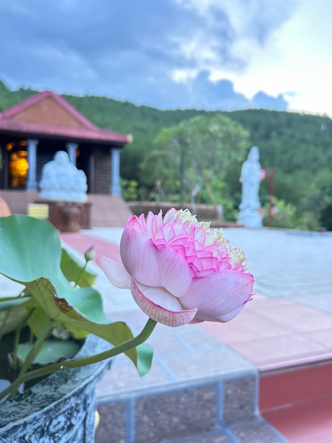 Người thiện lương