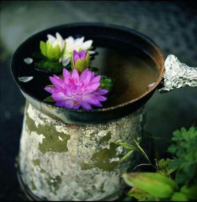 Biết tạm bợ nên sống hết lòng