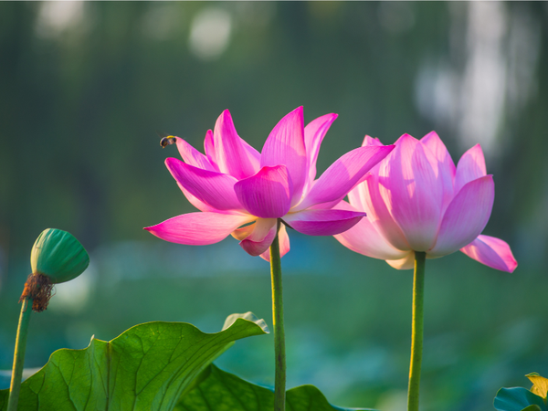 3 điều giữ kín