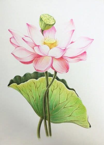 Đại sư Ấn Quang dạy cư sĩ