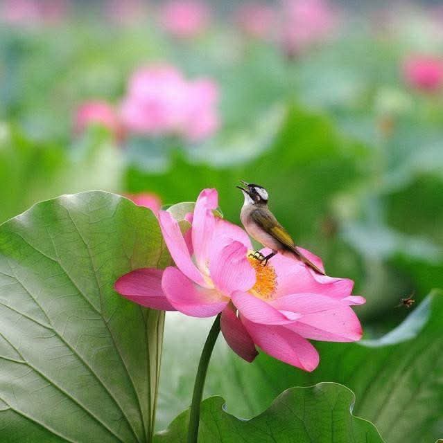 Tu không phải đổi đời