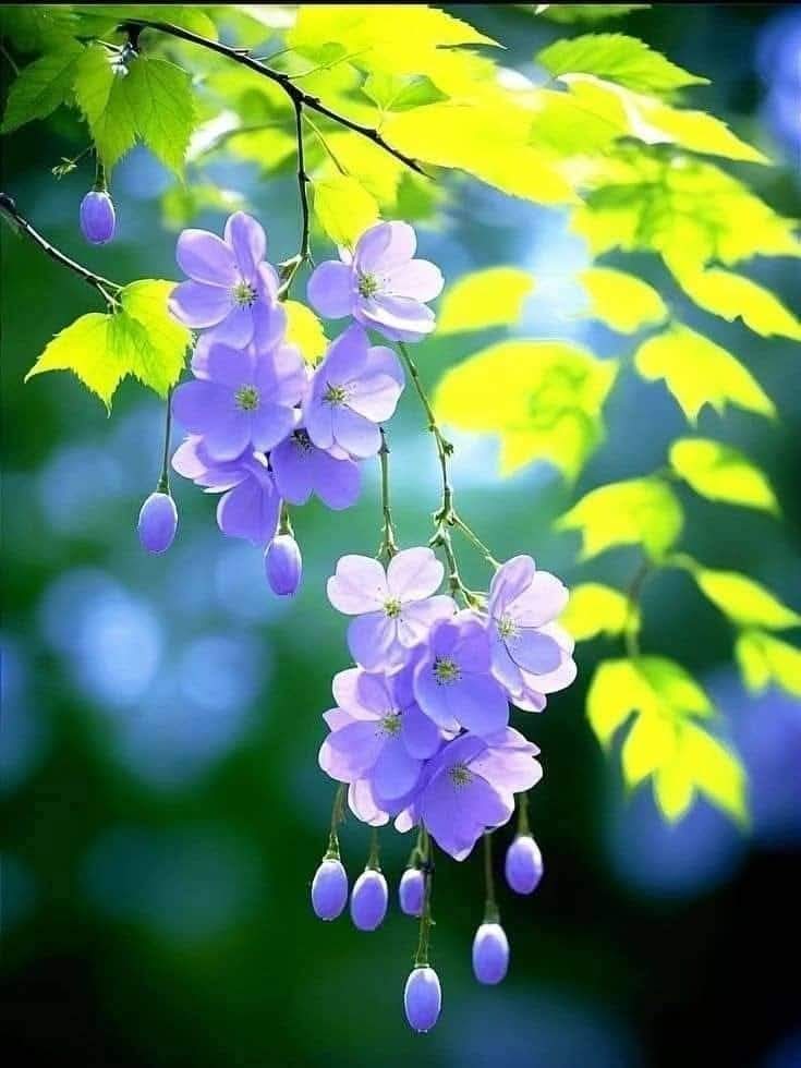 Ta không thích so đo cùng người
