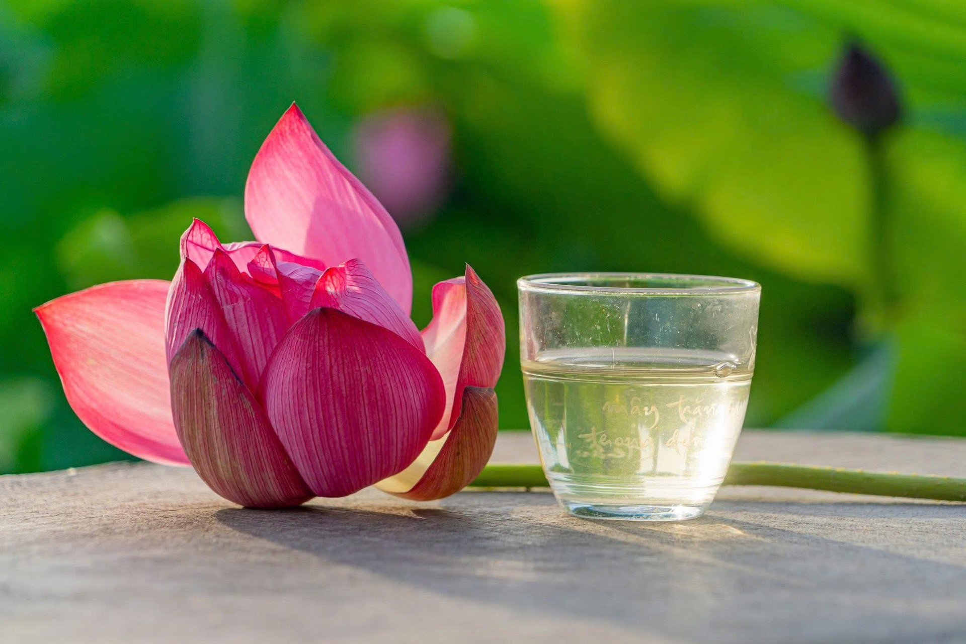 Cái gì là hạnh phúc