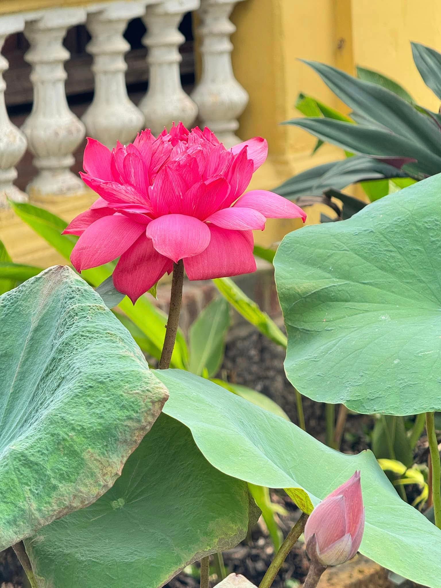 Đừng bao giờ nhìn giàu nghèo mà kết thân