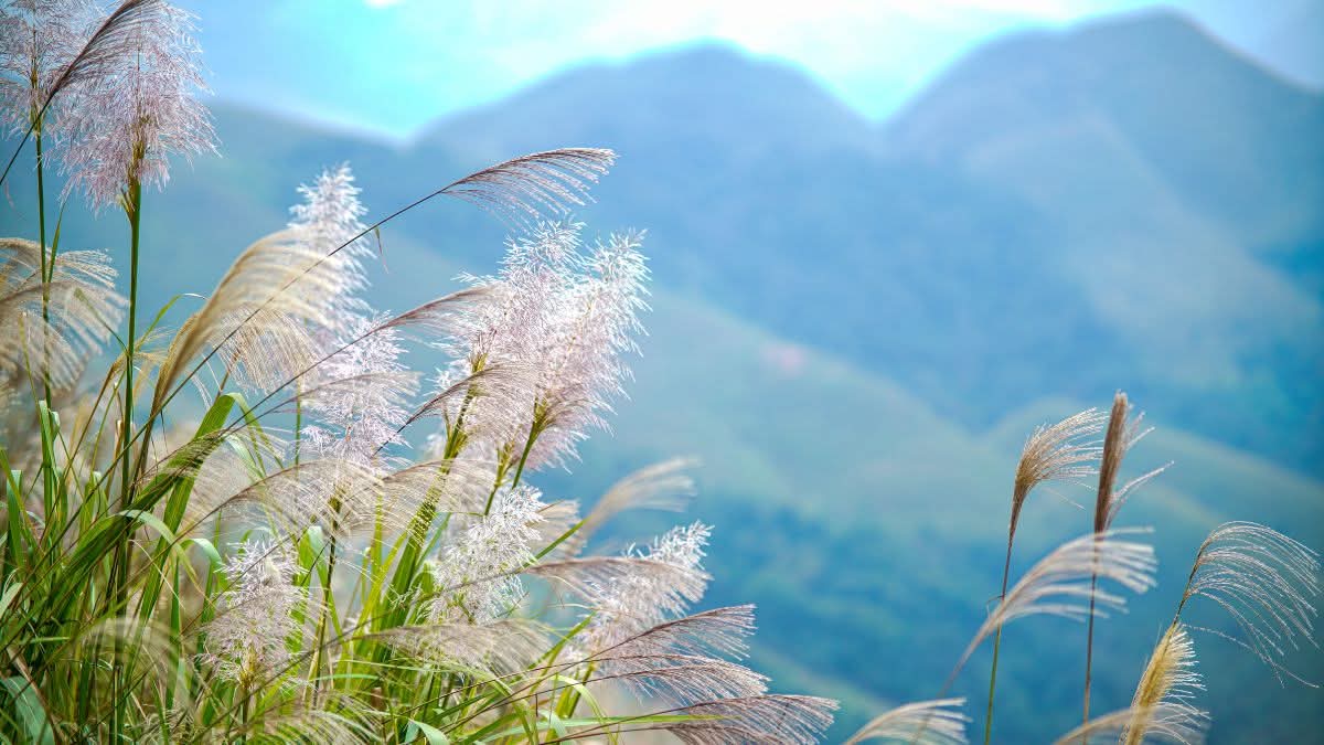 Chơi với người lành