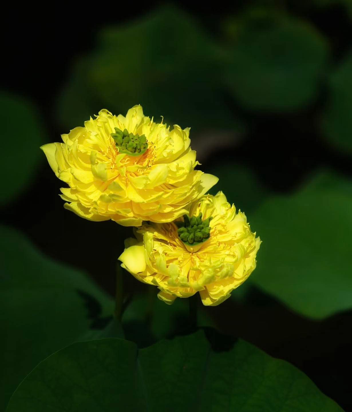 Làm việc thiện