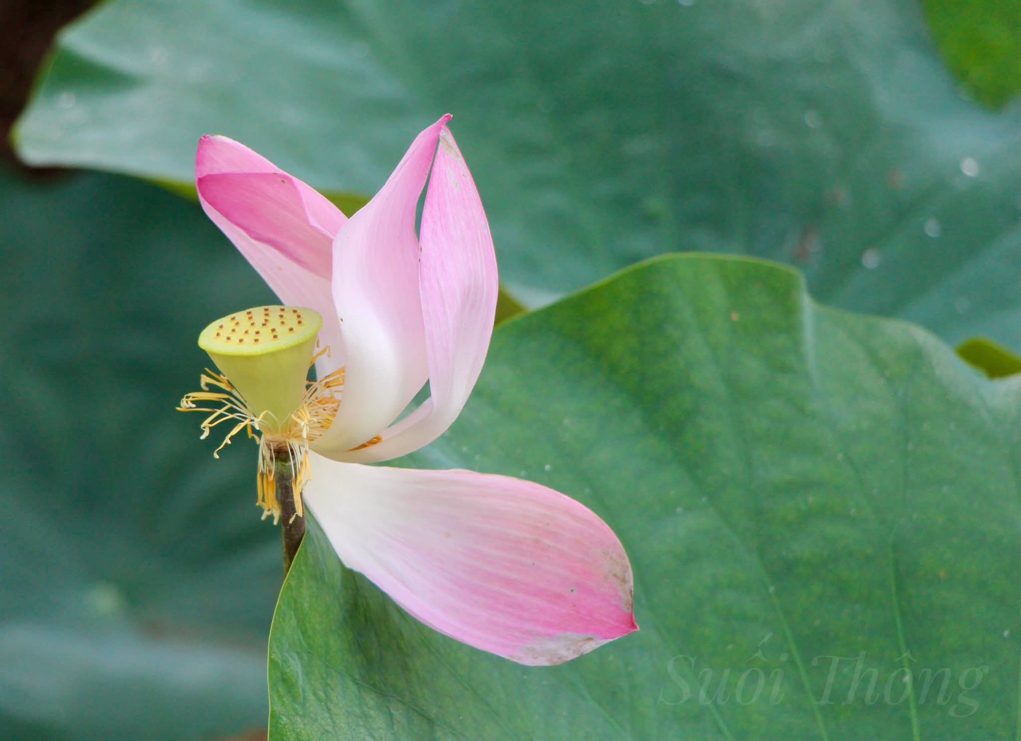 Nếu biết sống, sẽ không nghèo