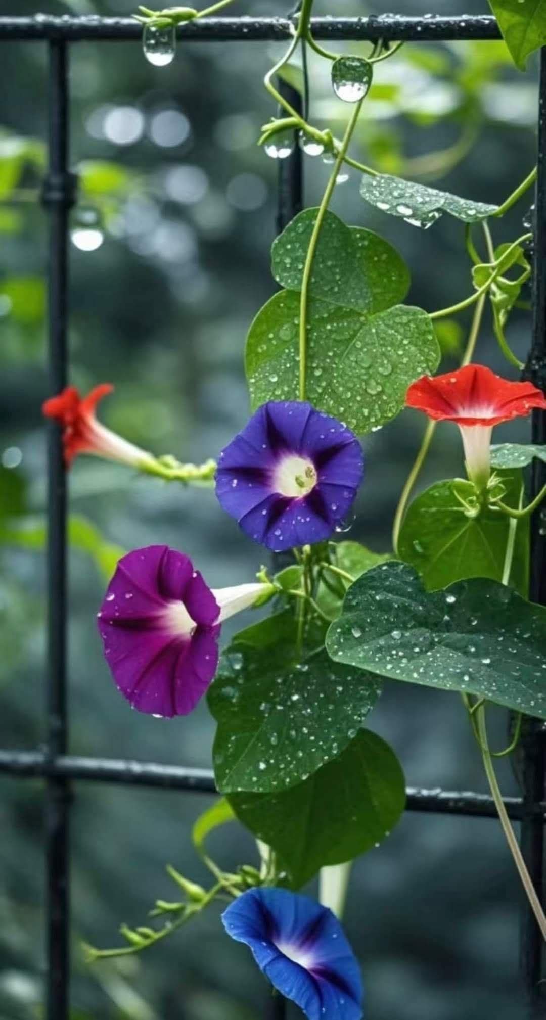 Khi thấy ai đó thành công hơn mình
