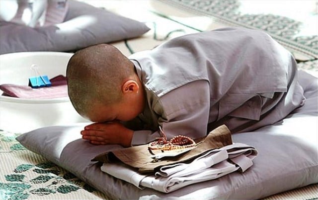 Hướng đến ánh sáng