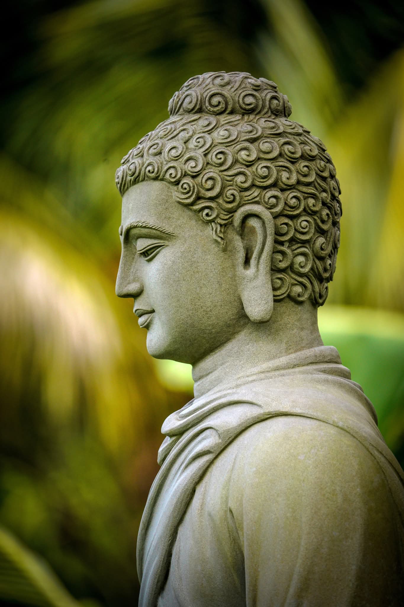 Còn phước mang theo