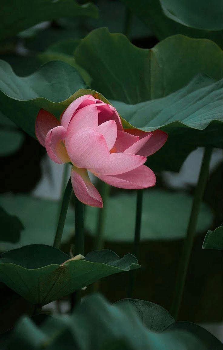 Trả nghiệp không đơn giản