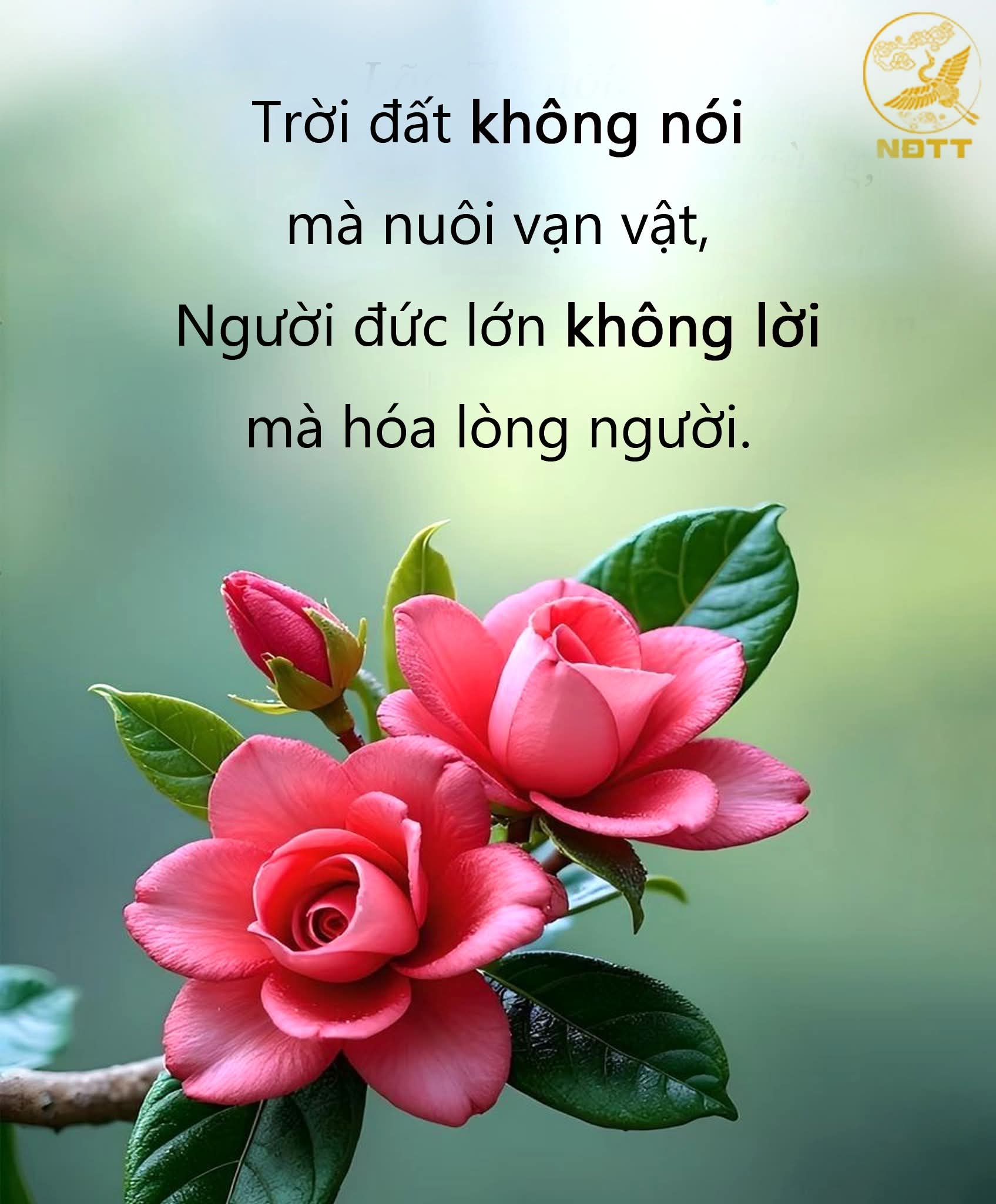 Bình an trước nghịch cảnh