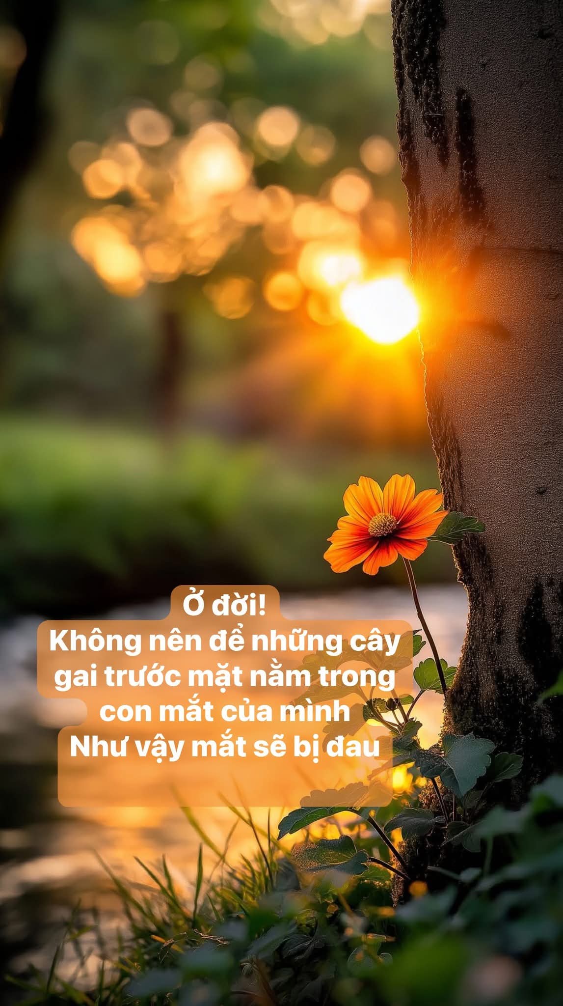 Tài sản khi về già