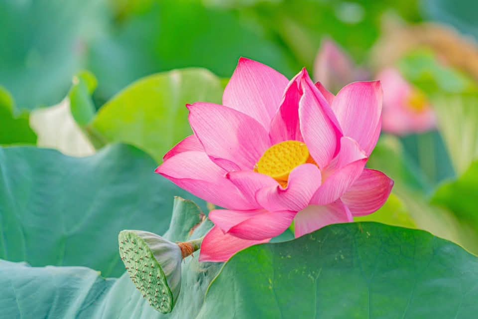 Khi ta làm điều ác