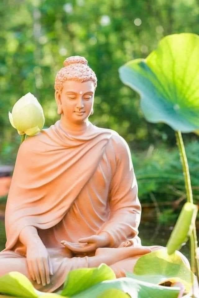 Chọn điều thiện, tránh điều ác