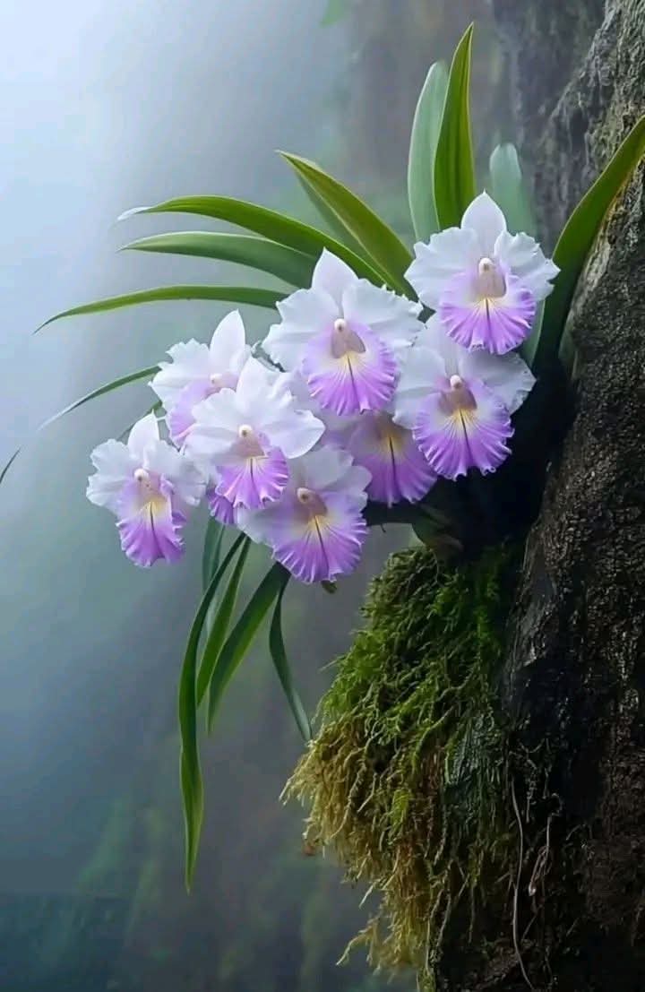 Mai này vấp ngã họ sẽ nhận ra