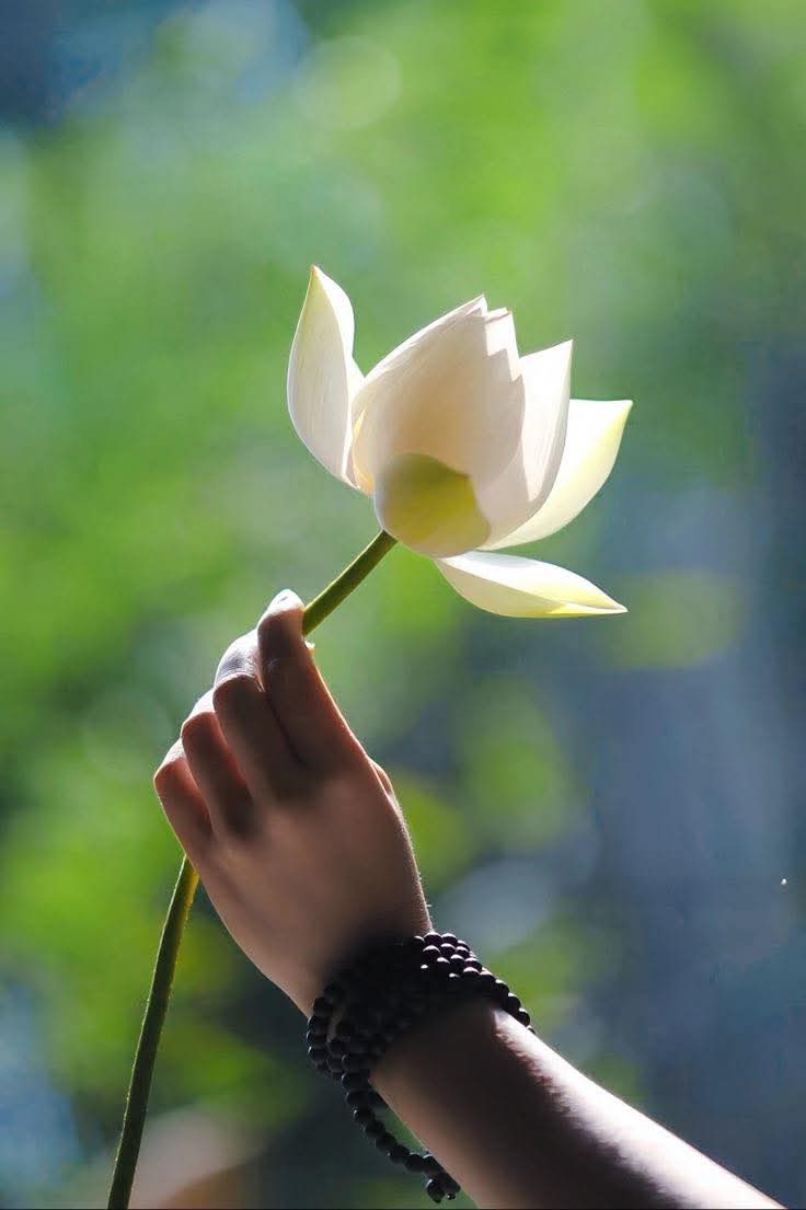 Nuôi dưỡng gốc rễ