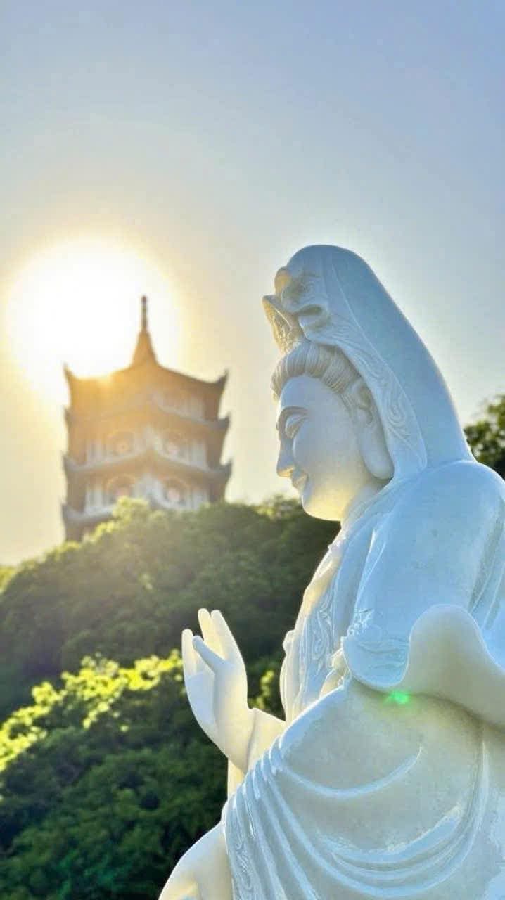 Khi tâm nhẹ, đời tự nhiên an