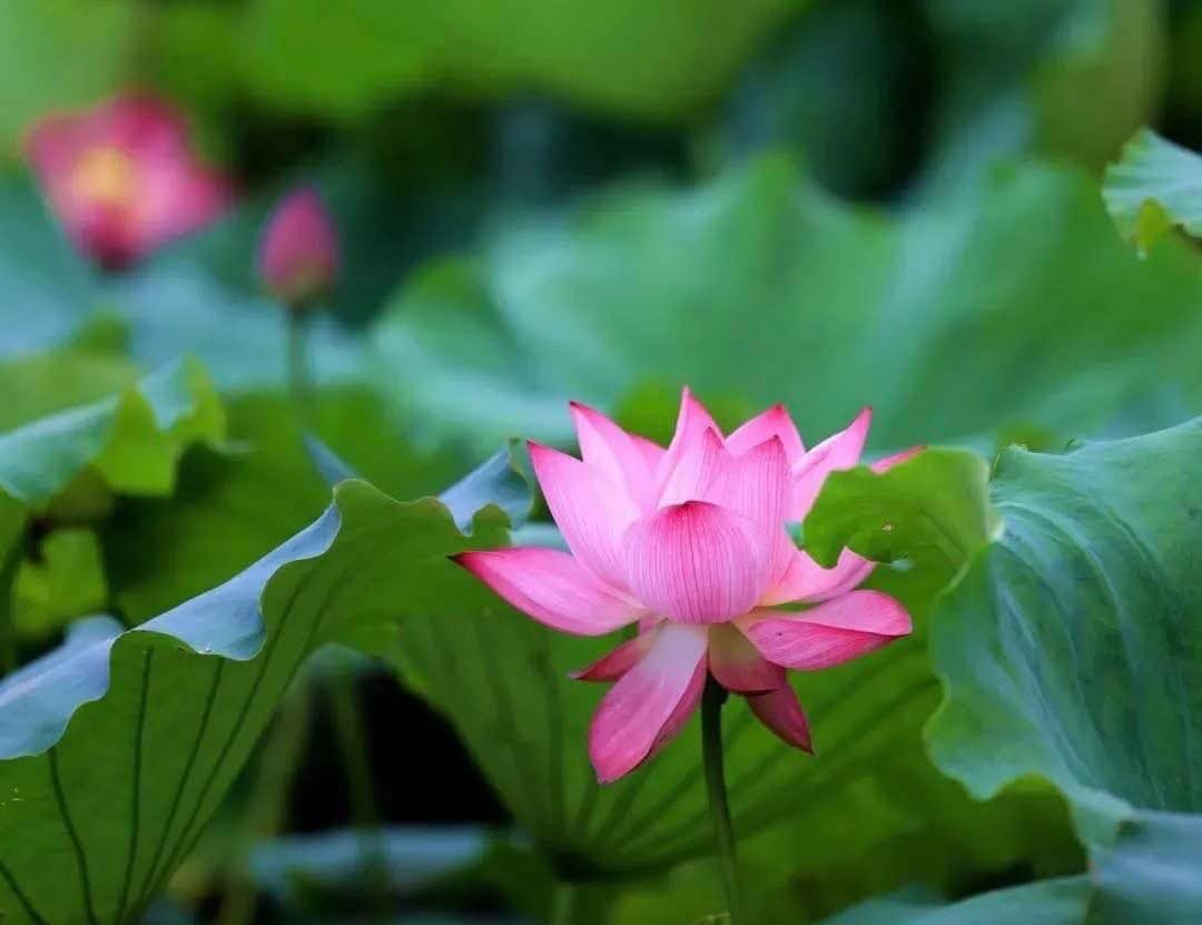 Sống thuận theo tự nhiên