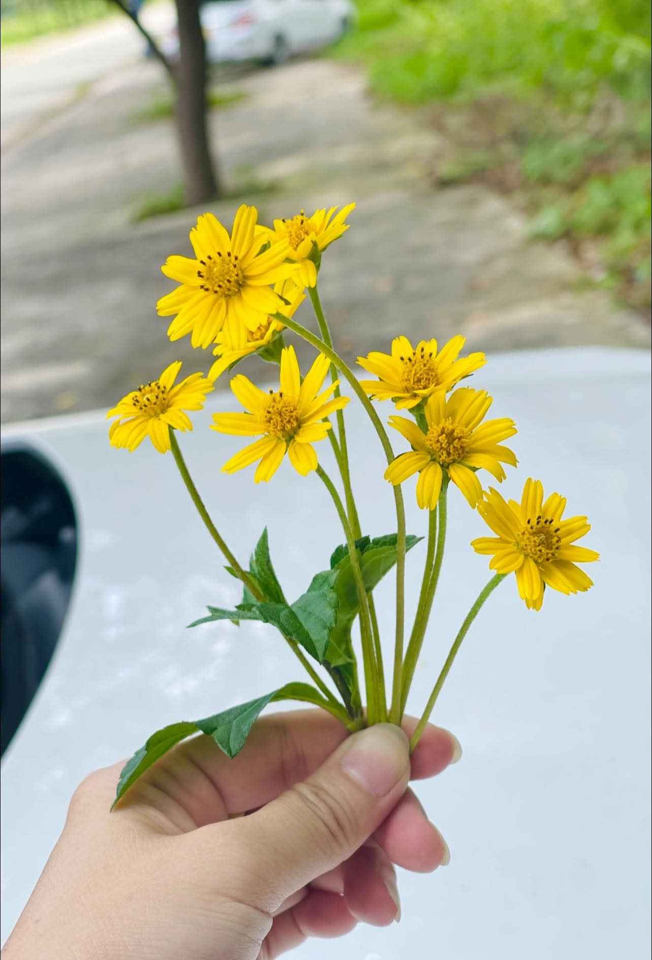 Đừng quá mong muốn một cái gì