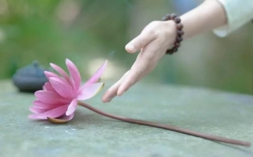 Học buông bỏ những gánh nặng trong đời