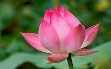 Xoay đầu là bờ mé