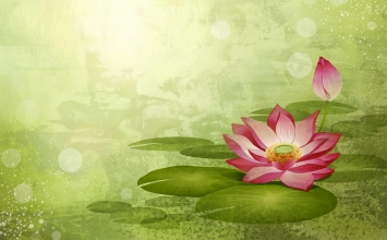 Tưởng là thiệt thòi mà không phải vậy