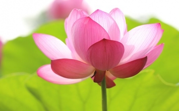Có thể chịu khổ