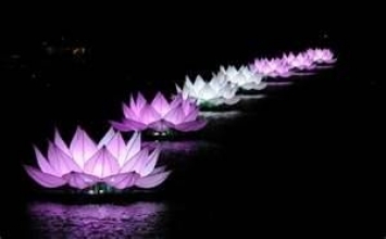 Tu học ở mọi người