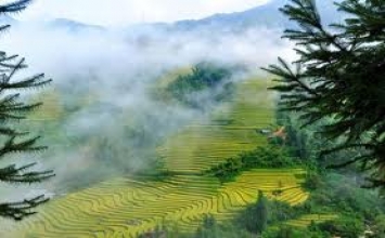 Cao quý là không làm hại ai